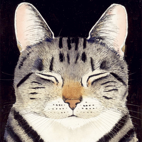 YuZhangWang的领域